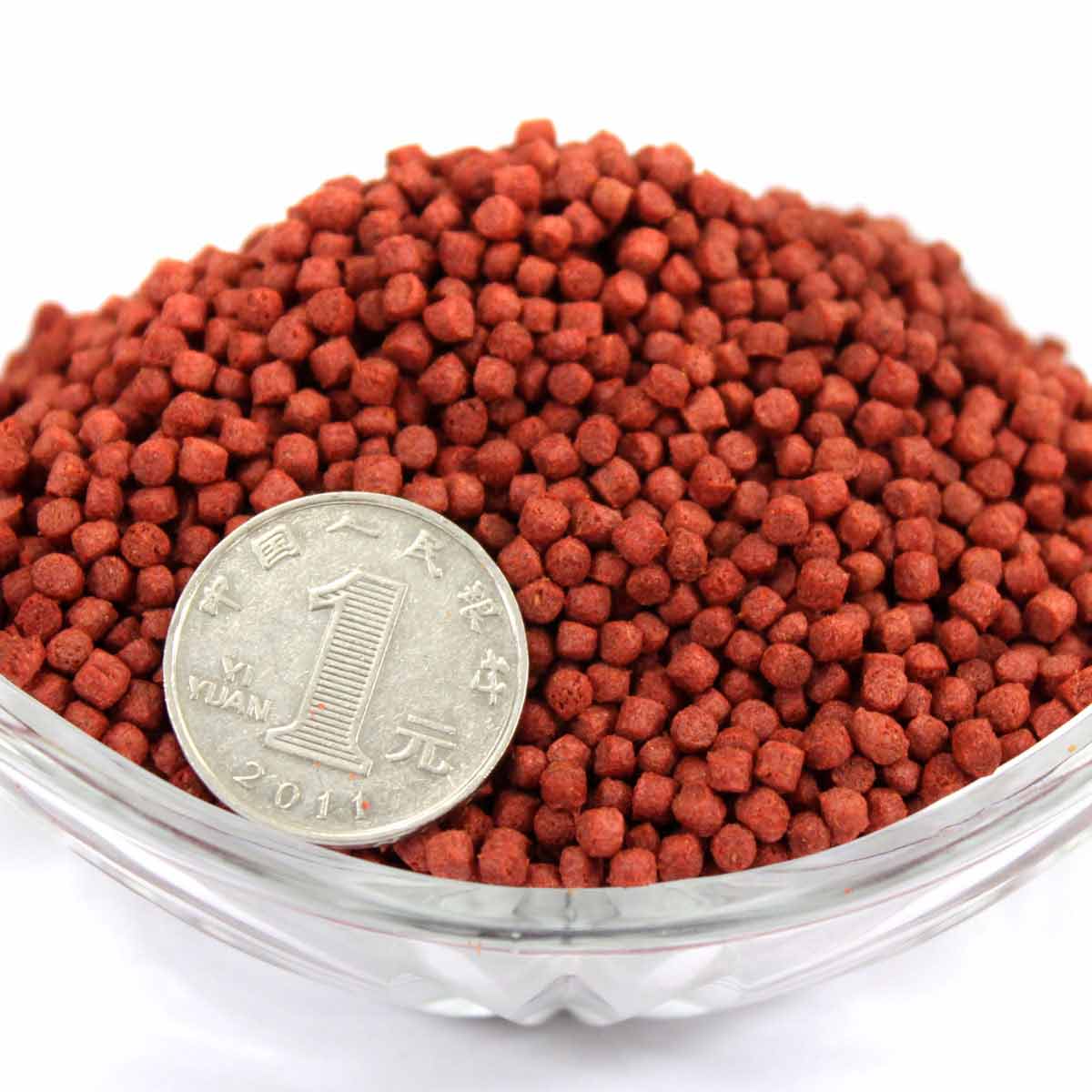 如何辨別觀賞魚糧好壞？